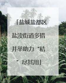 盐城盐都区盐渎街道多措并举助力“秸”尽其用